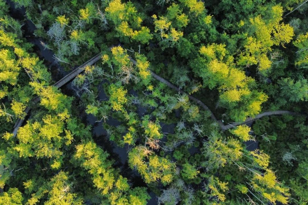 Camping Du Lac De Groléjac المظهر الخارجي الصورة